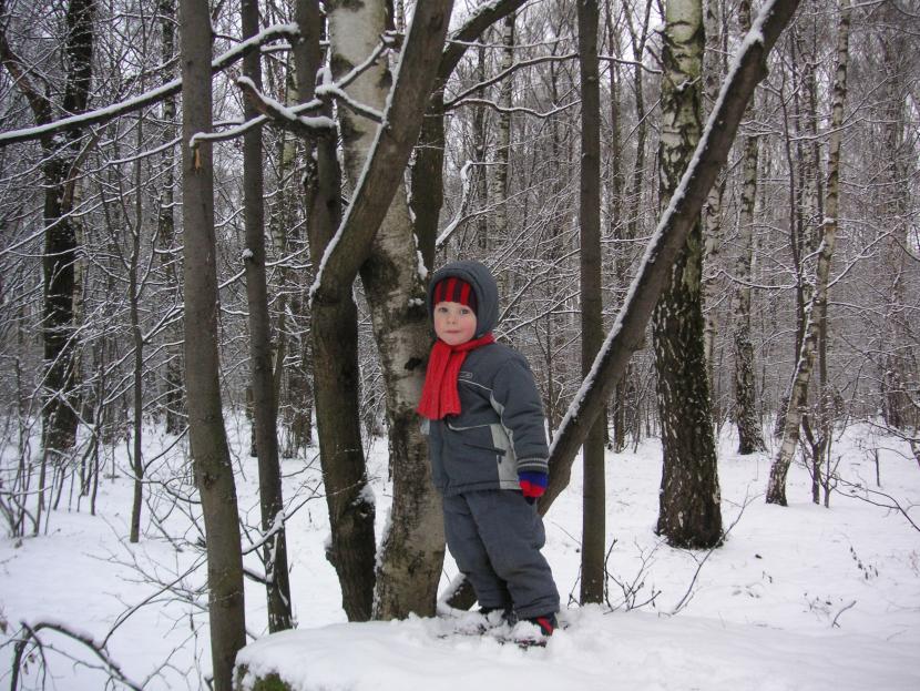 В обнимку с деревьями в снегу.